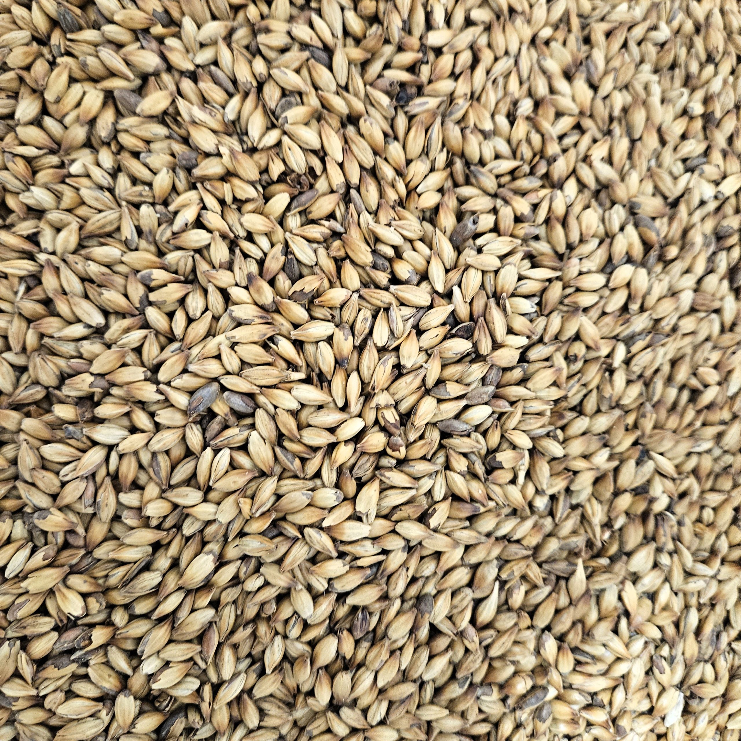 grain enhanced